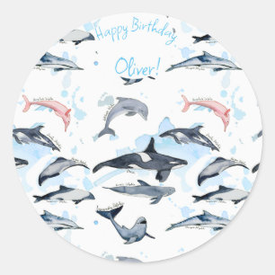 Dolphin theme party kids watercolor drawing classi classic round sticker