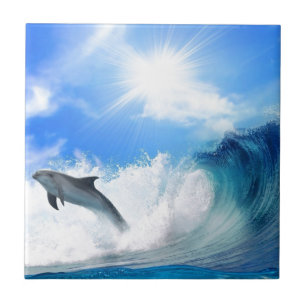 Dolphin Tile