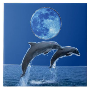Dolphin Tiles