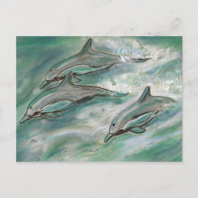 Dolphin Trio - postcard (Front)