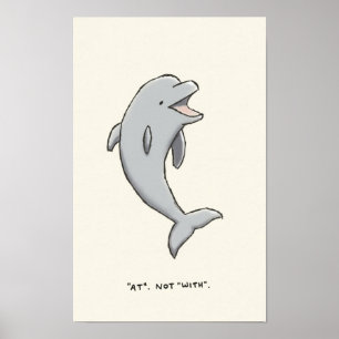 dolphin trivia poster
