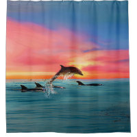 Dolphin Tropical Beach Sunset Seascape