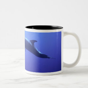 Dolphin Two-Tone Coffee Mug