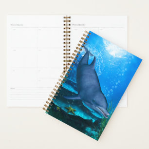 Dolphin Underwater Planner