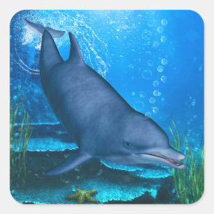 Dolphin Underwater Square Sticker