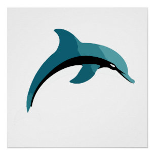 Dolphin Vector Art Animal Modern Urban Graphic  Poster