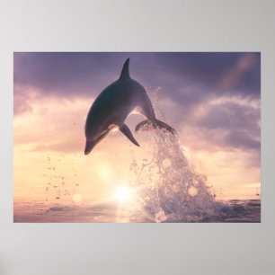 Dolphin wall art