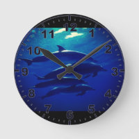 Dolphin Wall Clock