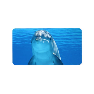 Dolphin Water Beach Tropical Paradise Island Fish Label