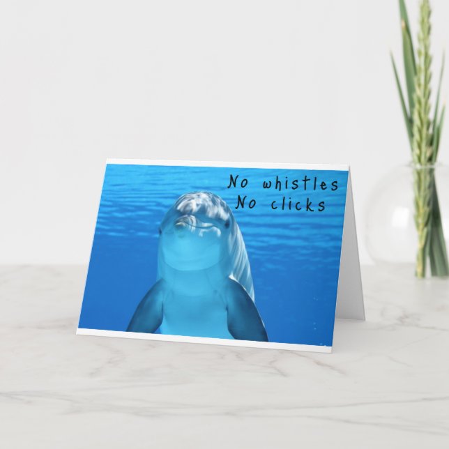 DOLPHIN WILL "TALK" ON "YOUR BIRTHDAY CARD (Front)