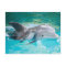 Dolphin with calf
