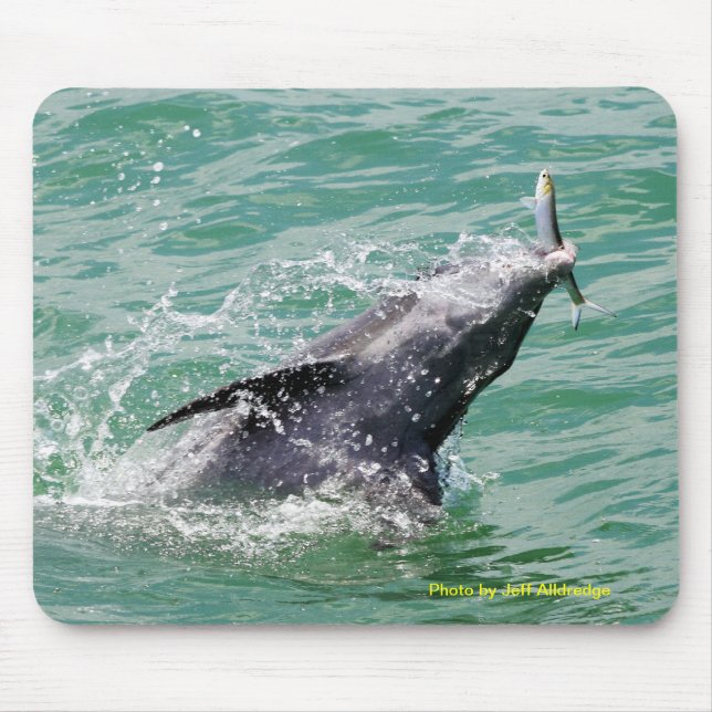 Dolphin with lunch mouse mat (Front)