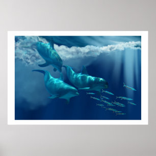 DOLPHIN WORLD  PRINT