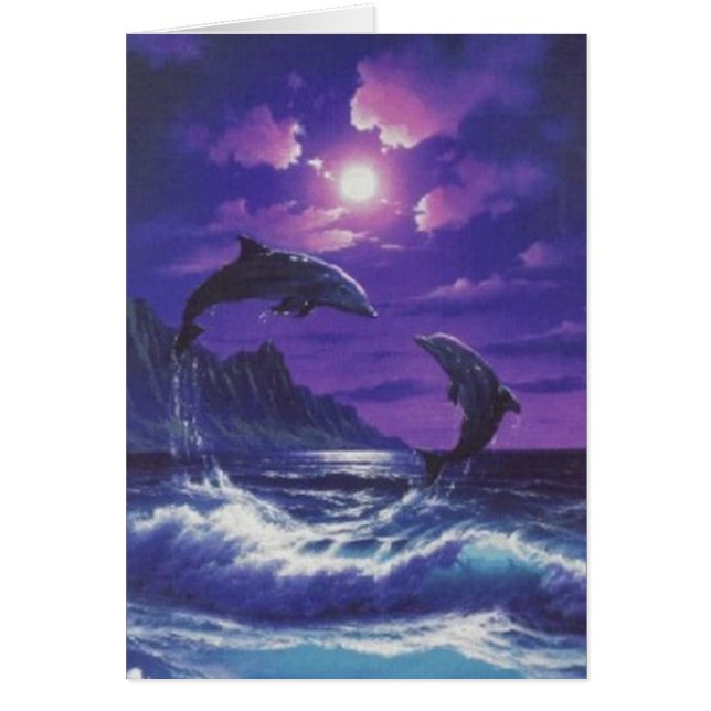 Dolphins (Front)