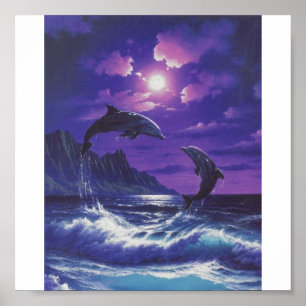 dolphins[1] poster