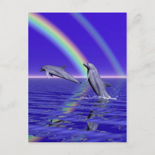 Dolphins and Rainbow Postcard