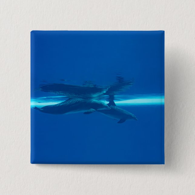 Dolphins and reflections 15 cm square badge (Front)
