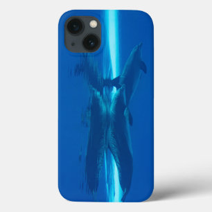 Dolphins and reflections iPhone 13 case
