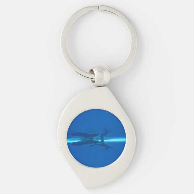 Dolphins and reflections key ring (Front)
