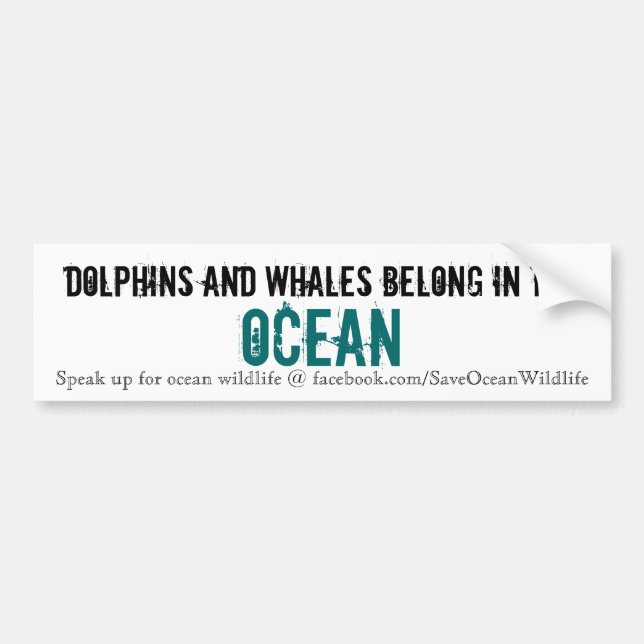 Dolphins and Whales Belong in the Ocean Bumper Sticker (Front)