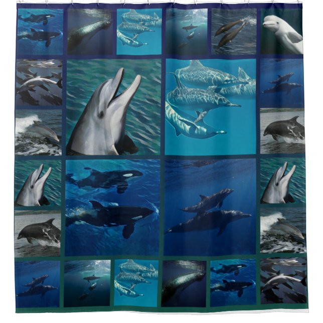 Dolphins And Whales Collage Shower Curtain (Front)
