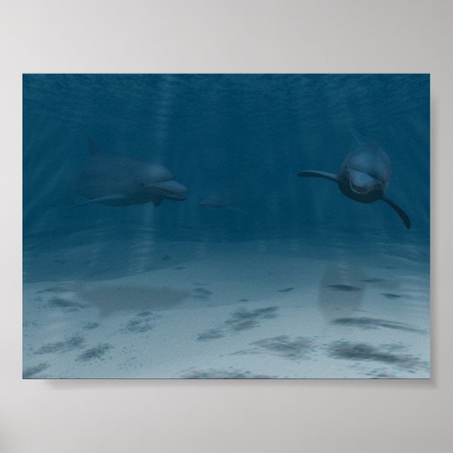 Dolphins at Play Poster (Front)