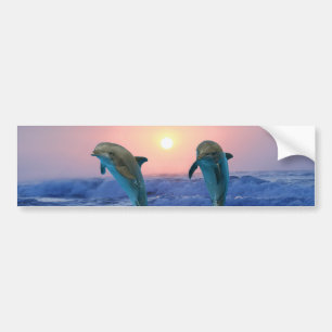 Dolphins at sunrise bumper sticker