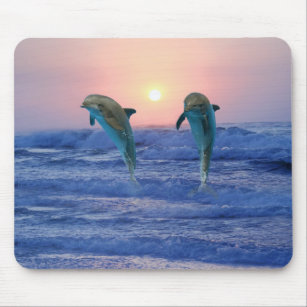 Dolphins at sunrise mouse mat