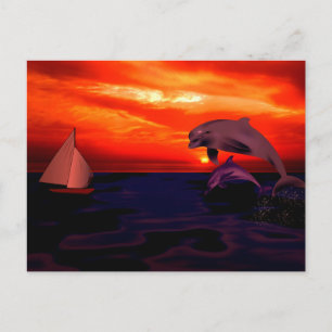 Dolphins at Sunset Postcard
