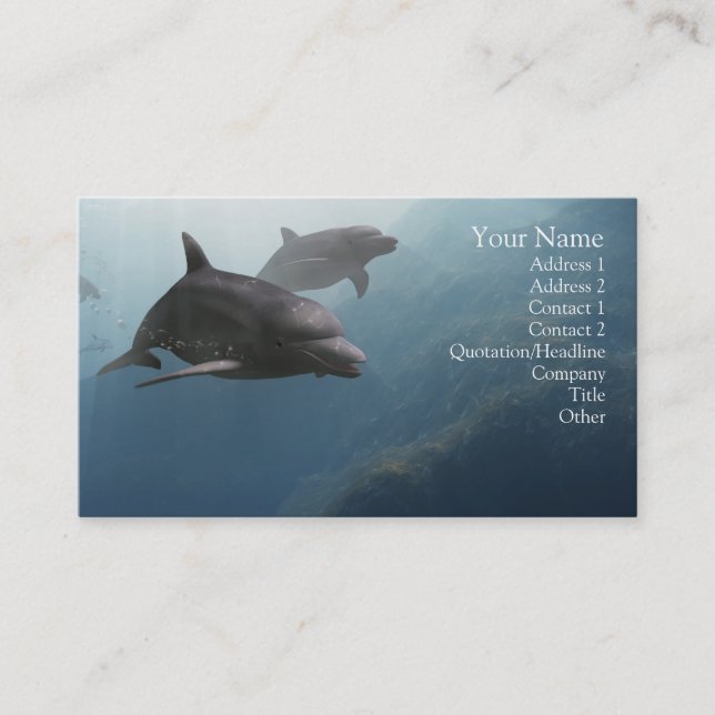 Dolphins Business Card (Front)