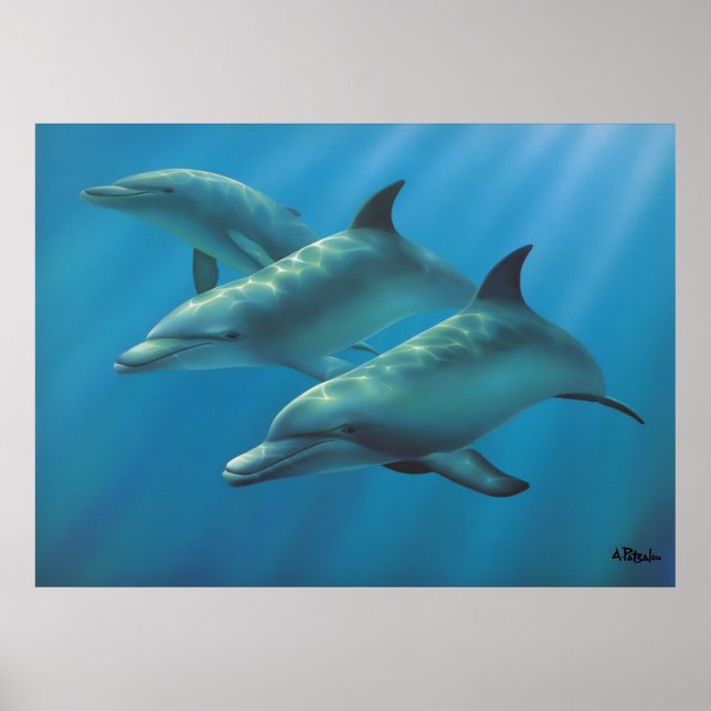 Dolphins by Andrew Patsalou Poster (Front)