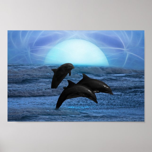 Dolphins by moonlight poster (Front)