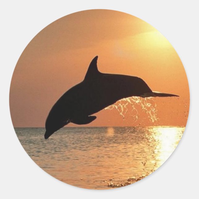 Dolphins by Sunset Classic Round Sticker (Front)