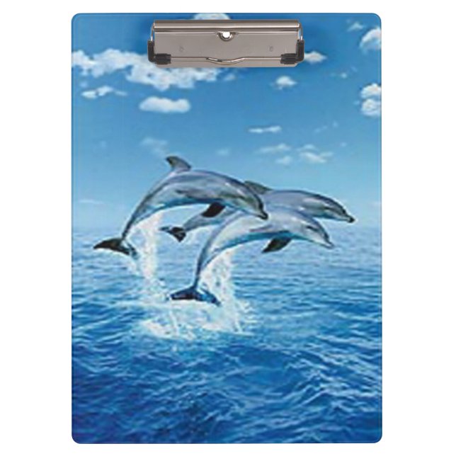 Dolphins Clipboard (Front)