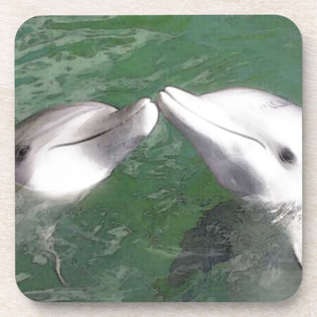 Dolphins Coaster (Front)