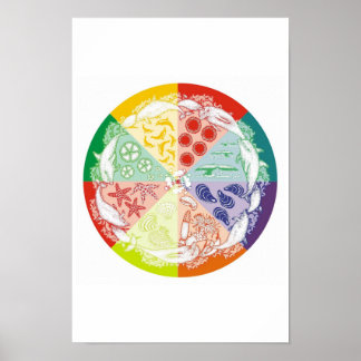 Dolphins Deliver Poster