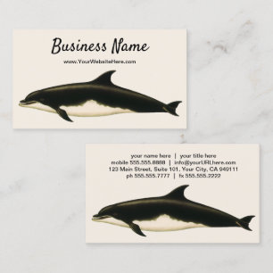 Dolphins Delphinus Tursio, Vintage Marine Animals Business Card