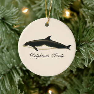 Dolphins Delphinus Tursio, Vintage Marine Animals Ceramic Tree Decoration