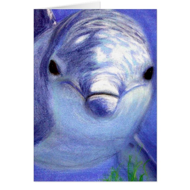 Dolphins Drawing Blue Dolphin Underwater Picture (Front)