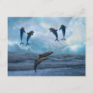 Dolphins fantasy postcard