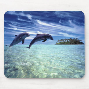 Dolphins Galore Mouse Mat