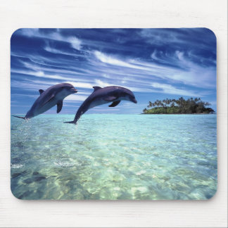 Dolphins Galore Mouse Mat