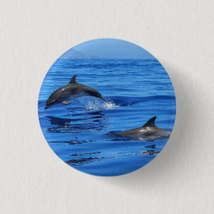 Dolphins In Blue Water 3 Cm Round Badge