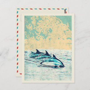 Dolphins in the Atlantic ocean Postcard