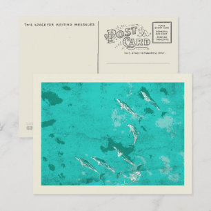 Dolphins in the Caribbean sea Postcard