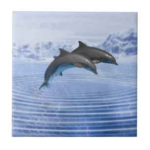 Dolphins in the clear blue sea tile