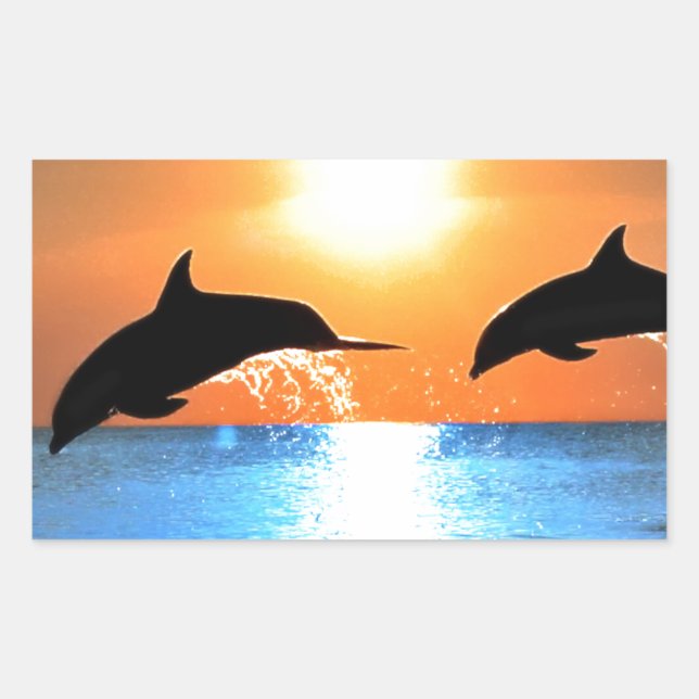 Dolphins Leaping Rectangular Sticker (Front)