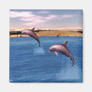Dolphins Magnet