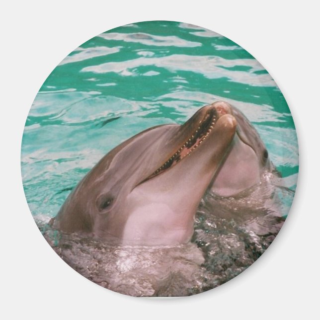 Dolphins Magnet (Front)