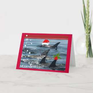 dolphins Merry and bright happy holiday Card